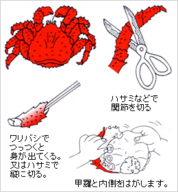 花咲ガニのじょうずなお召し上がり方